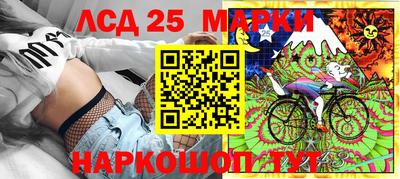 гашик Кулебаки