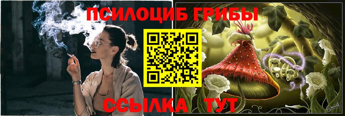 Верхний Уфалей  Галлюциногенные грибы Cubensis  Вход с VPN 